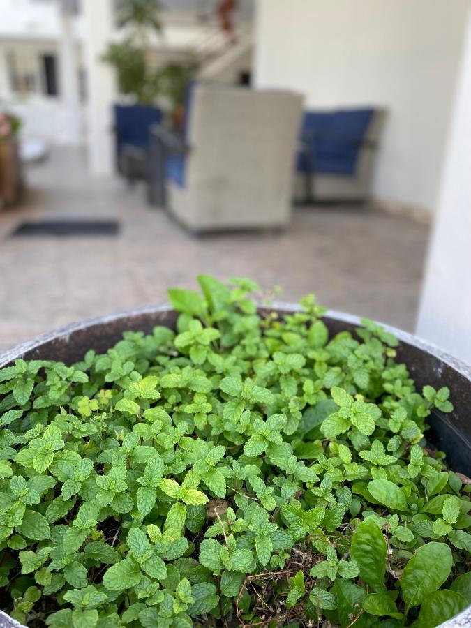 Khách sạn Balxiba 3*
