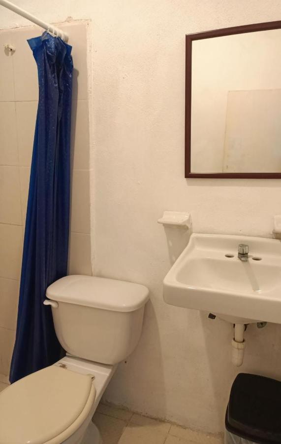 Colibri Apartment *