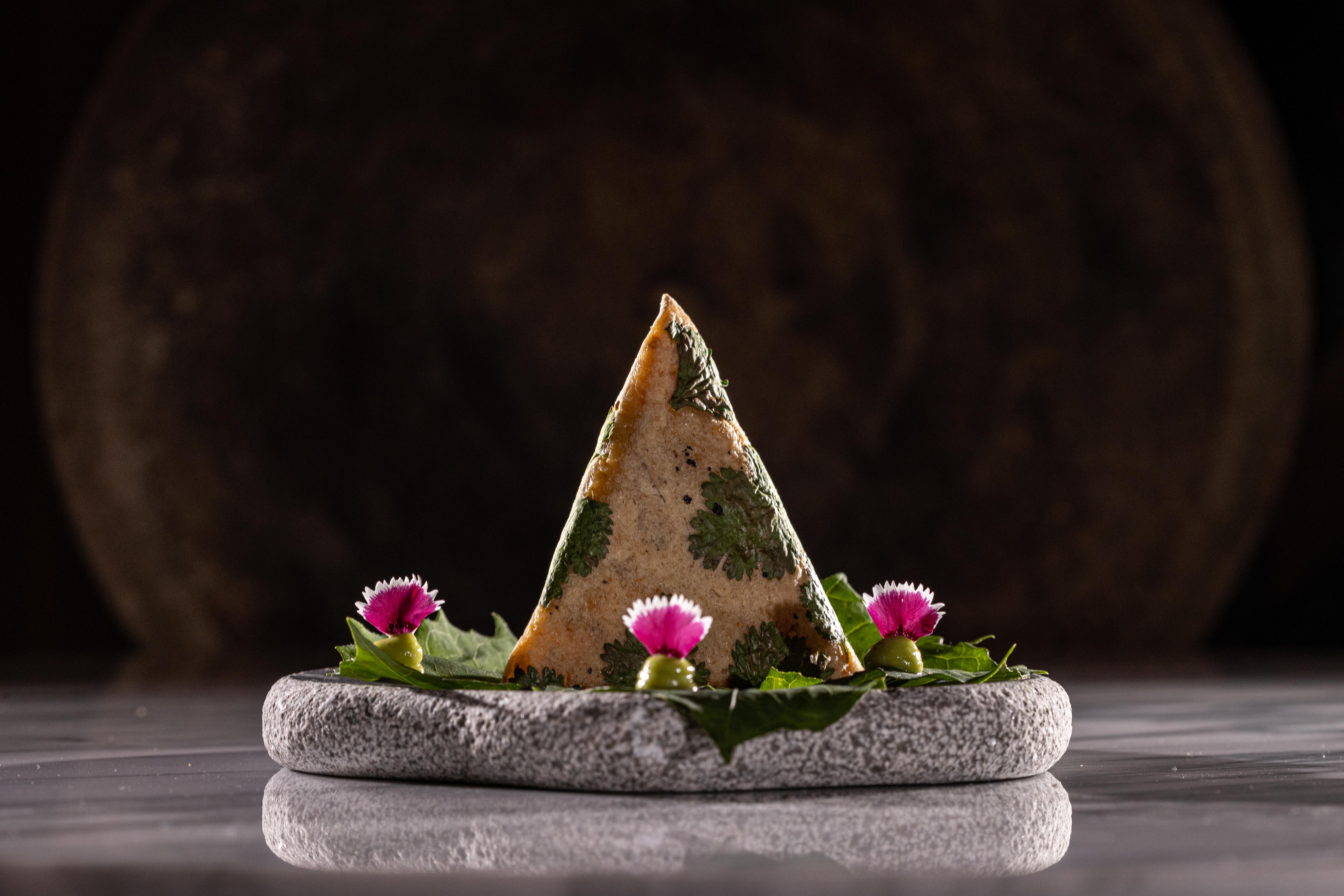 Palmaia The House Of Aia Wellness Playa del Carmen