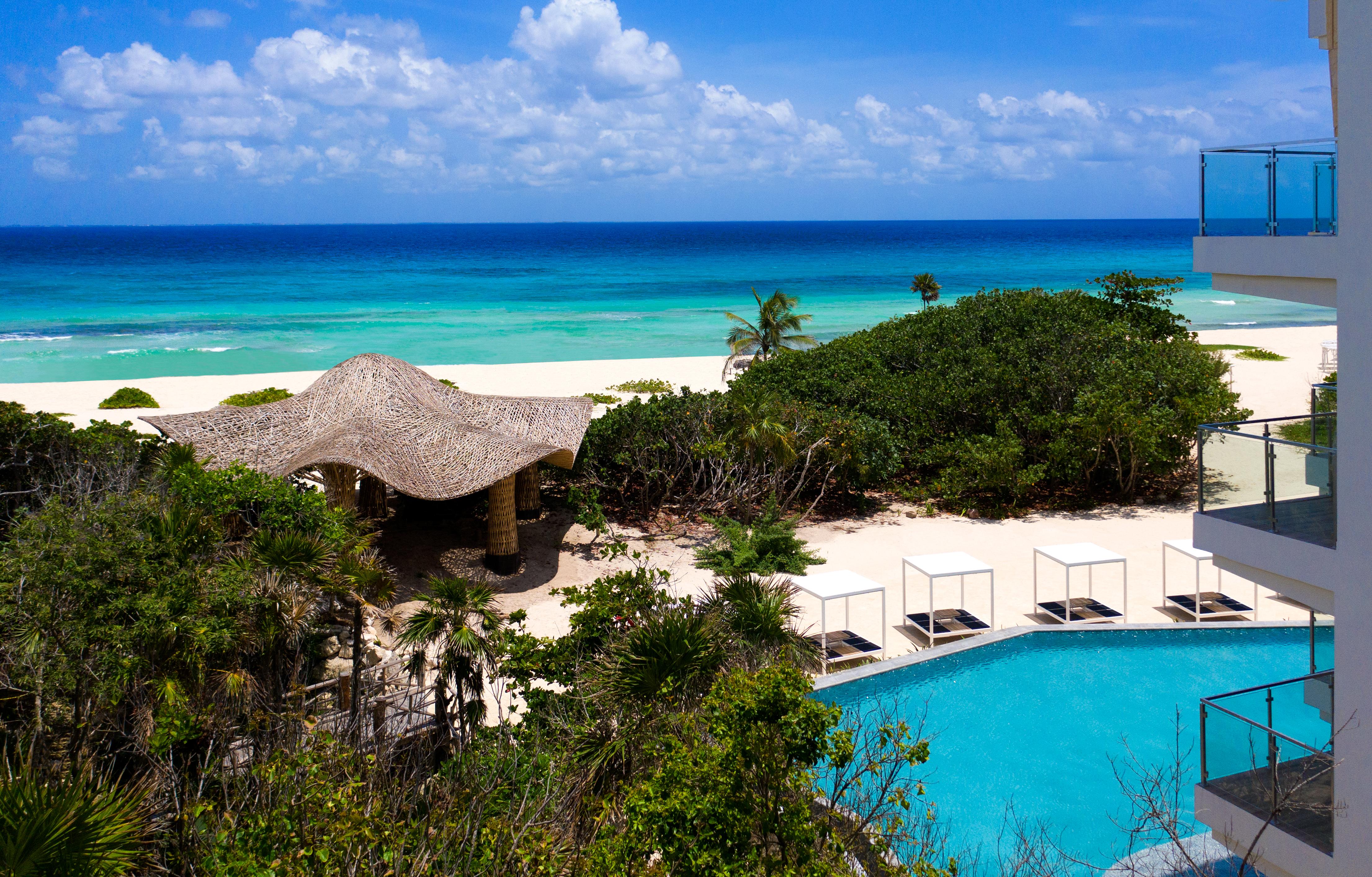 Palmaia The House Of Aia Wellness