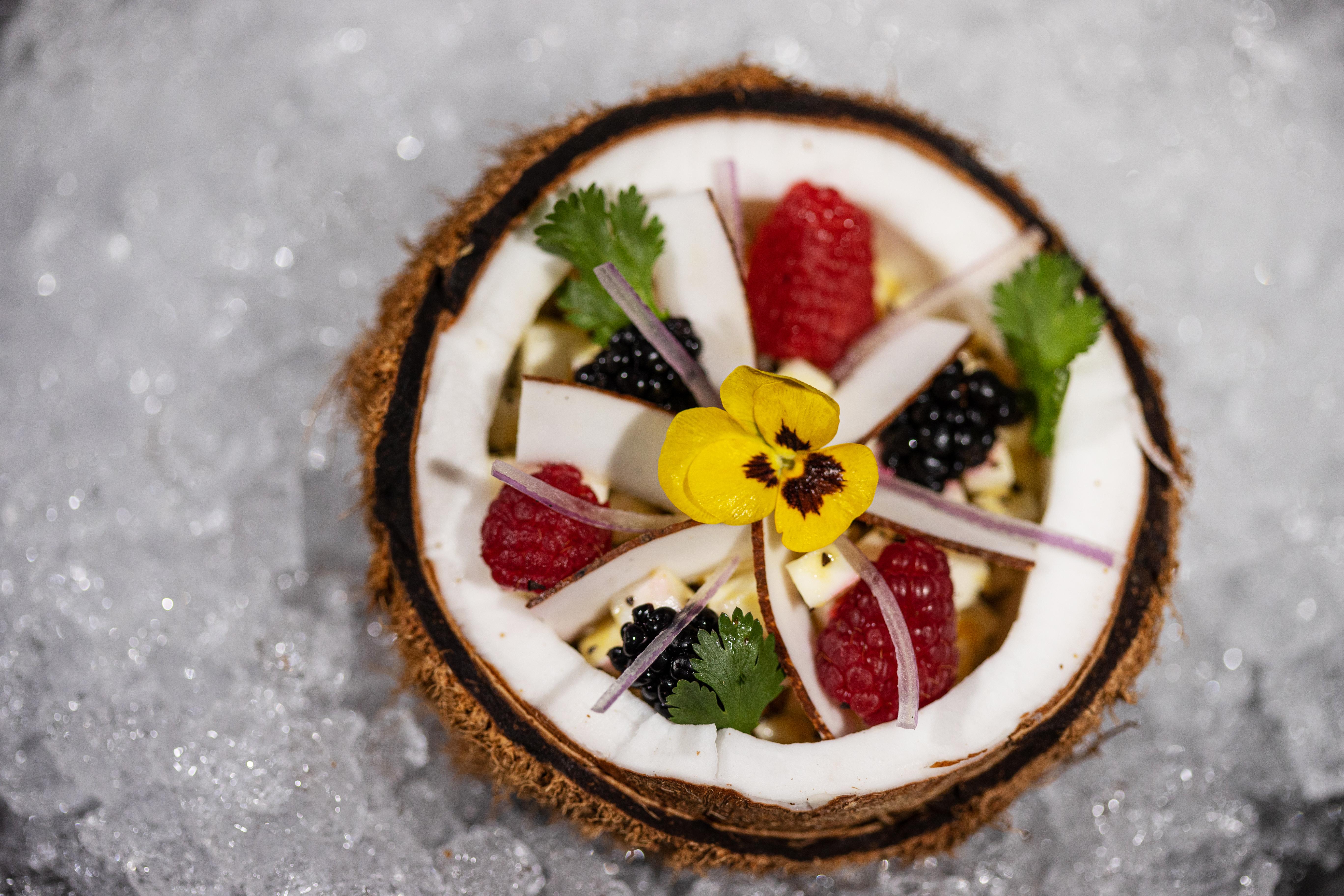 Palmaia The House Of Aia Wellness Resort Playa del Carmen
