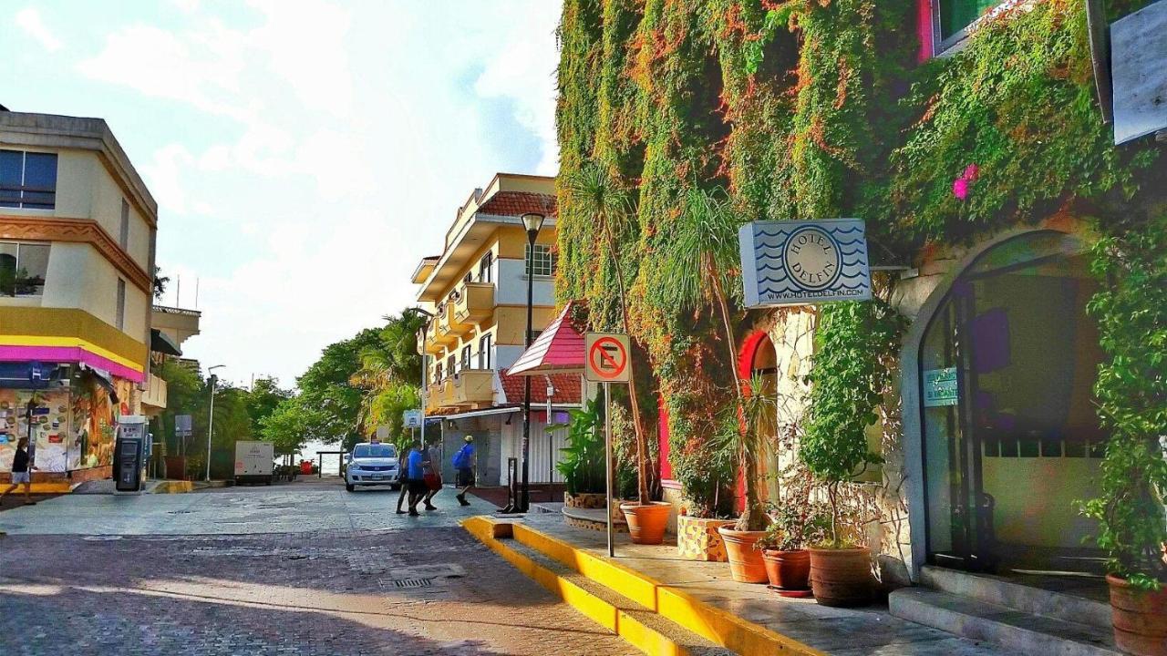 Hotel Boutique Delfin 5th Avenue