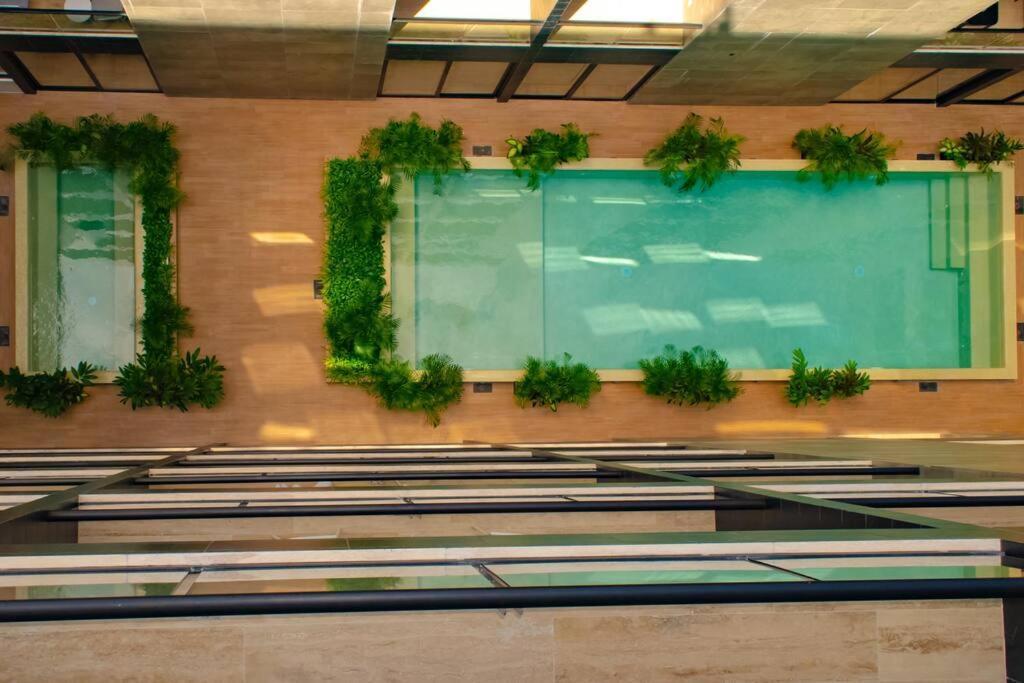 Apartment & Ocean View / Pool,jacuzzi & Parking - 423 Musa *