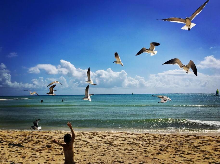 Apartamento Mayalun 3c Playa del Carmen