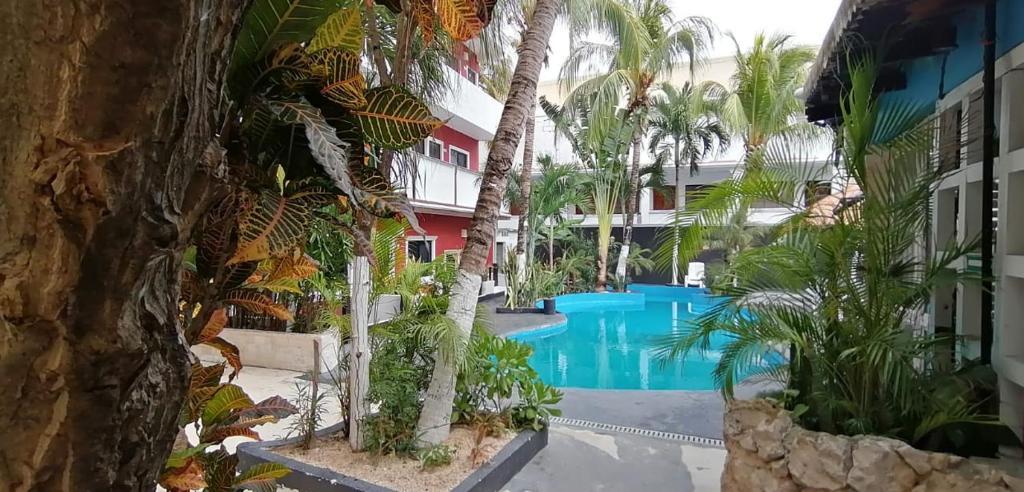 Hotel Balance (adults Only)