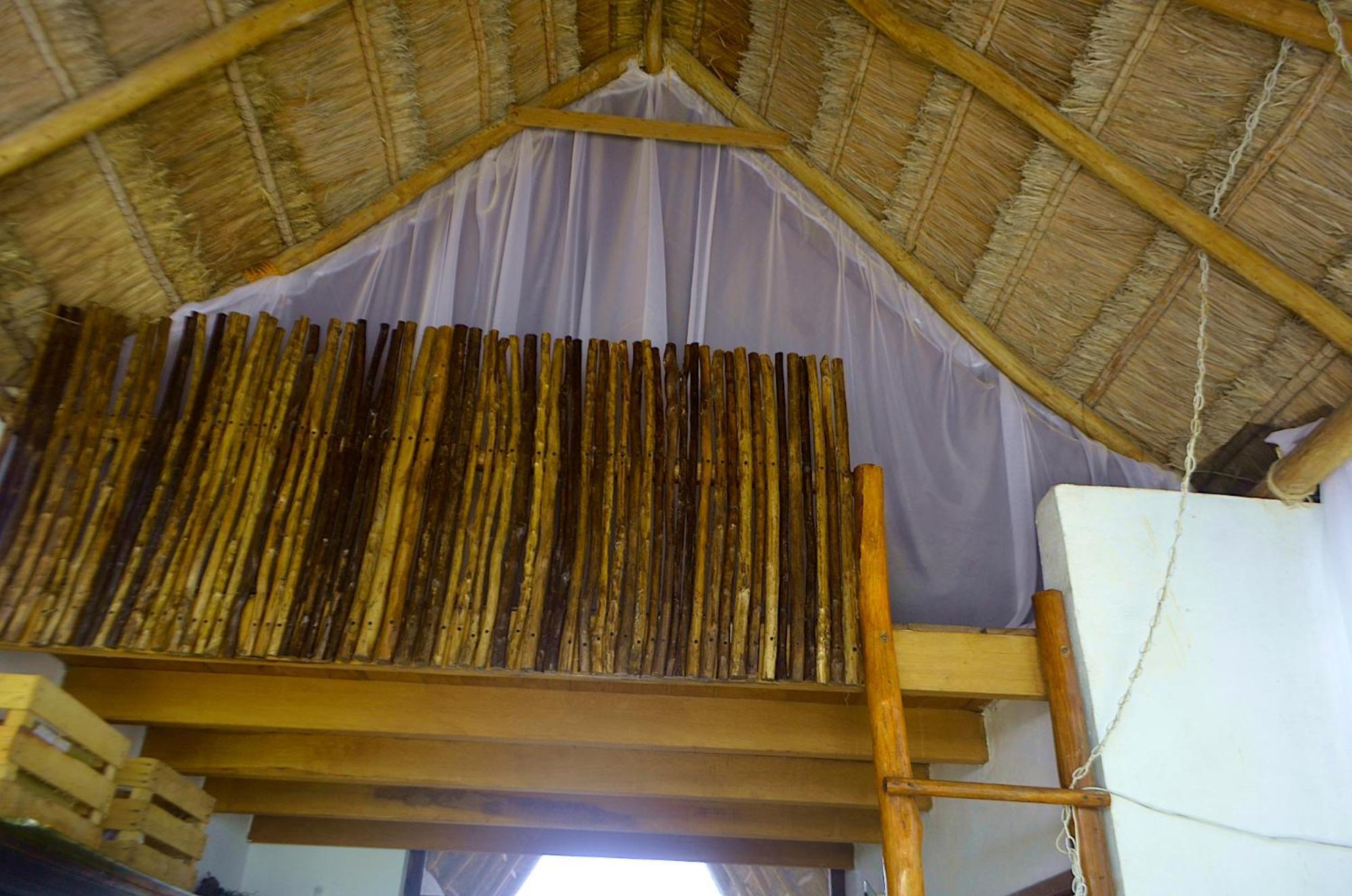 Homestay Wholeness Earthing Clubhouse Playa del Carmen