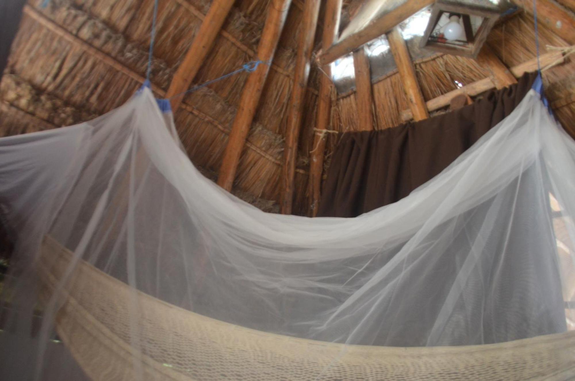 Homestay Wholeness Earthing Clubhouse Playa del Carmen