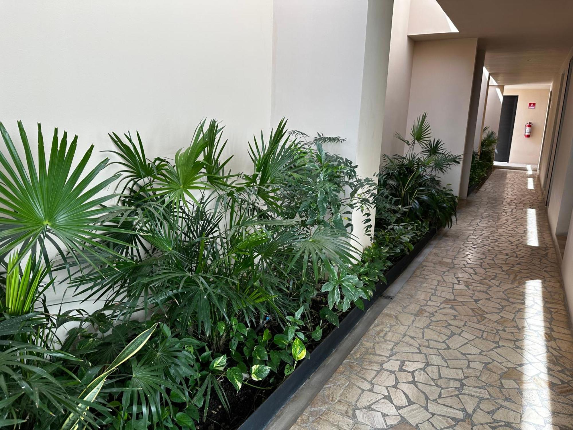 Apartamento Paseo Luxury House