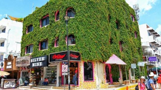 Hotel Boutique Delfin 5th Avenue