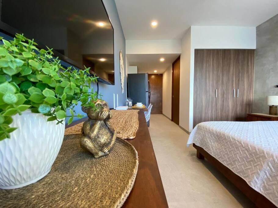 Estudio Nuevo En El Corazon De Apartment Playa del Carmen