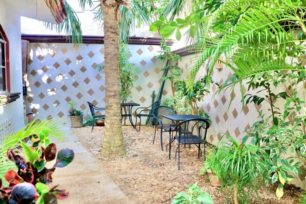 Amplio Dpto 12 Huespedes, 4 Hab, A Pasos Del Mar - Pc10 - Apartamento Playa del Carmen
