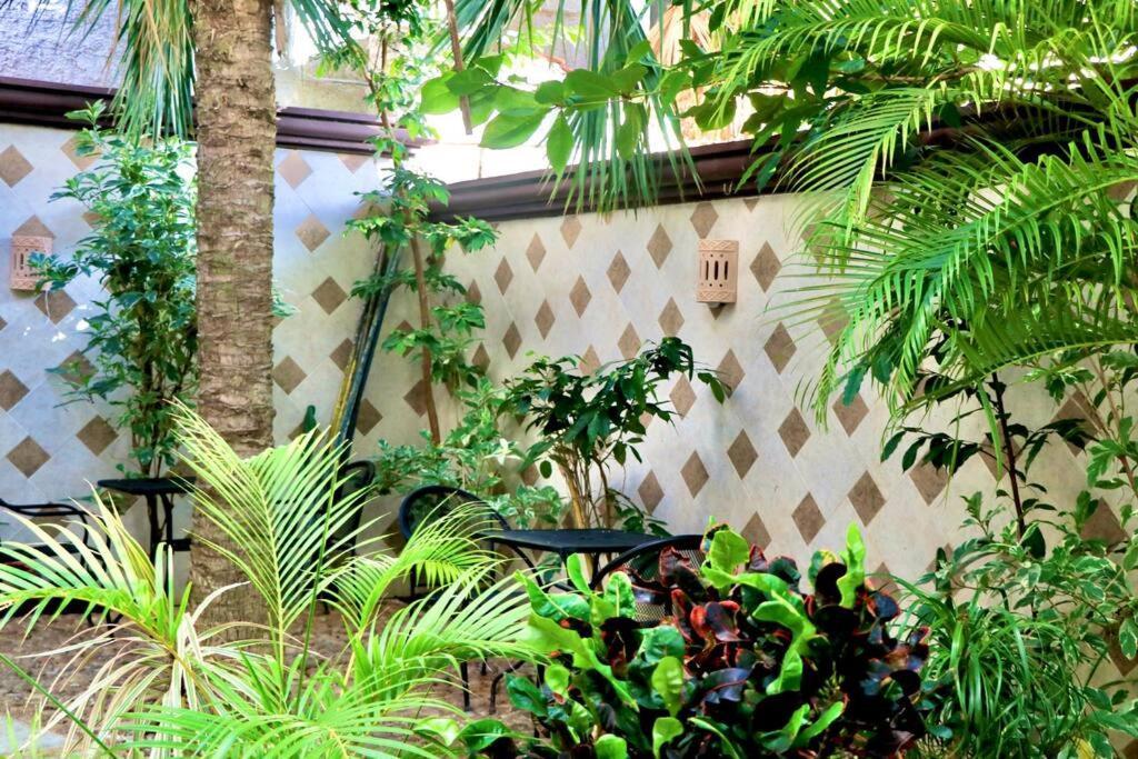 Apartamento Amplio Dpto 12 Huespedes, 4 Hab, A Pasos Del Mar - Pc10 -