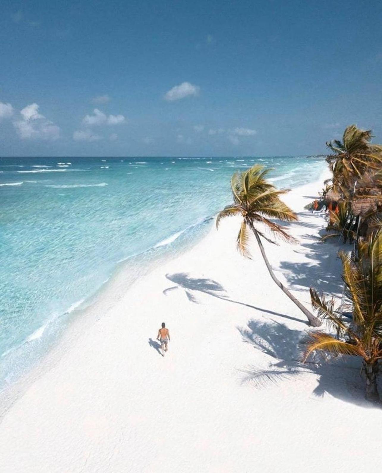 Workation Paradise Gated, Wifi 500mb, Gym, Pool Nhà nghỉ Playa del Carmen