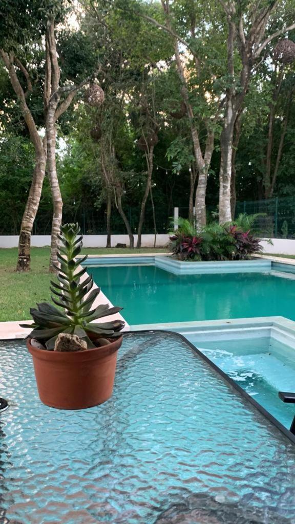 Pousada Casa Ohana Playa del Carmen