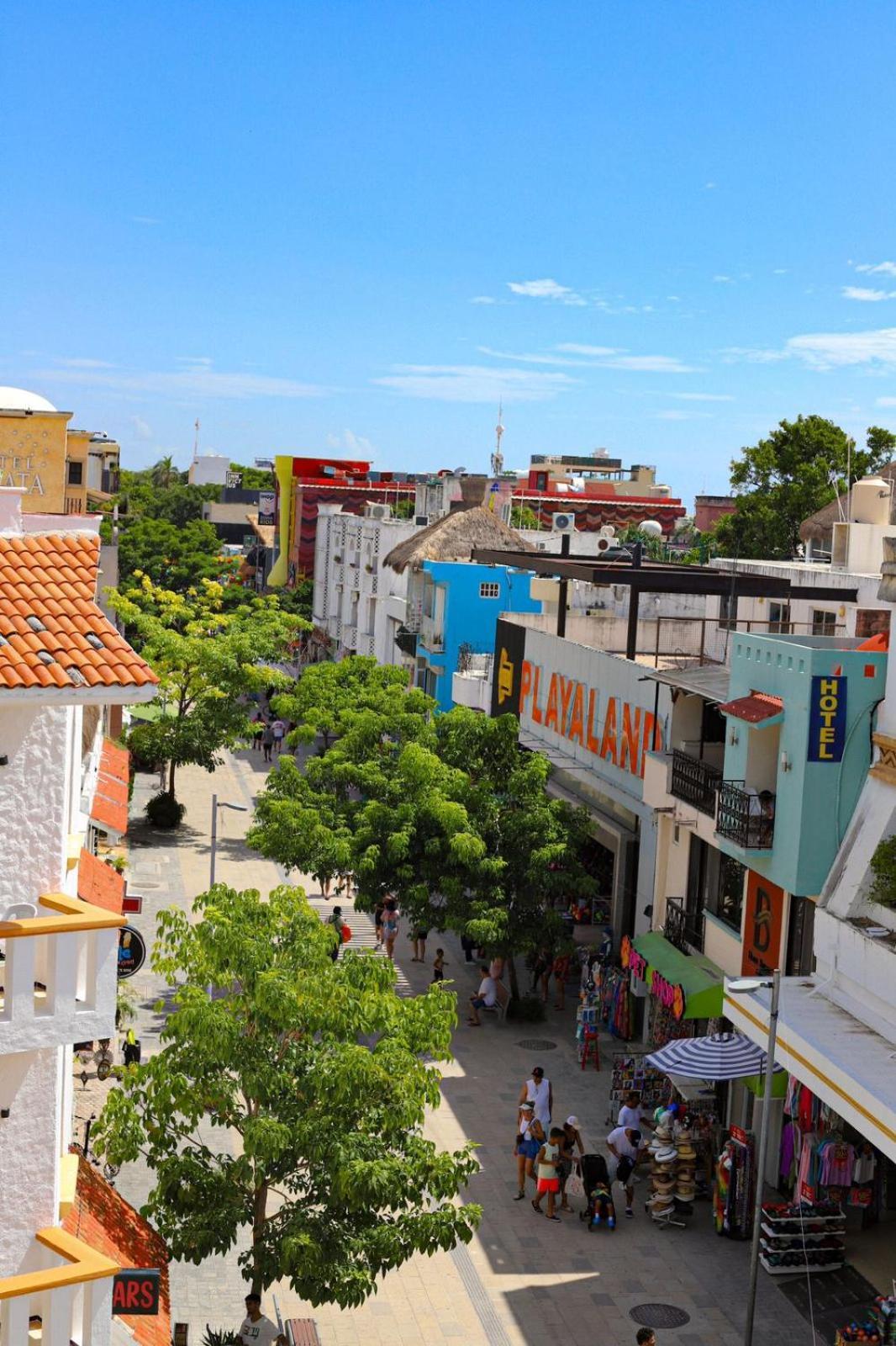 Boutique Delfin 5th Avenue 2* Playa del Carmen