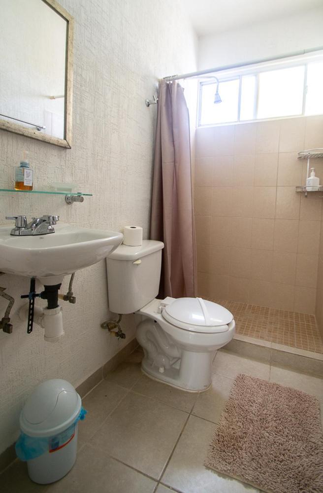 Cozy House In Apartamento *