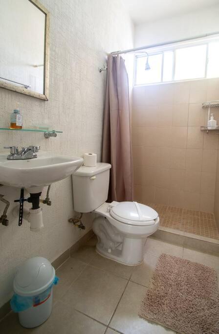 Apartamento Cozy House In