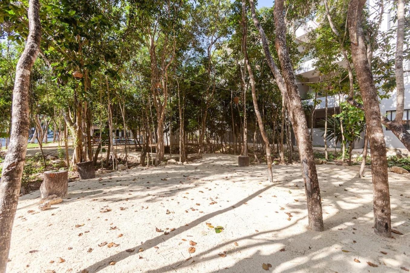 Omg! New Casa Tortuga10mincaribewifi 200mbgym *
