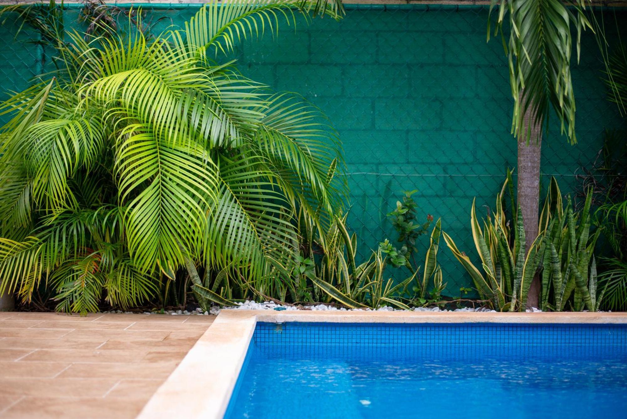 Casa Lula 5-br Getaway In Riviera Maya Playa del Carmen