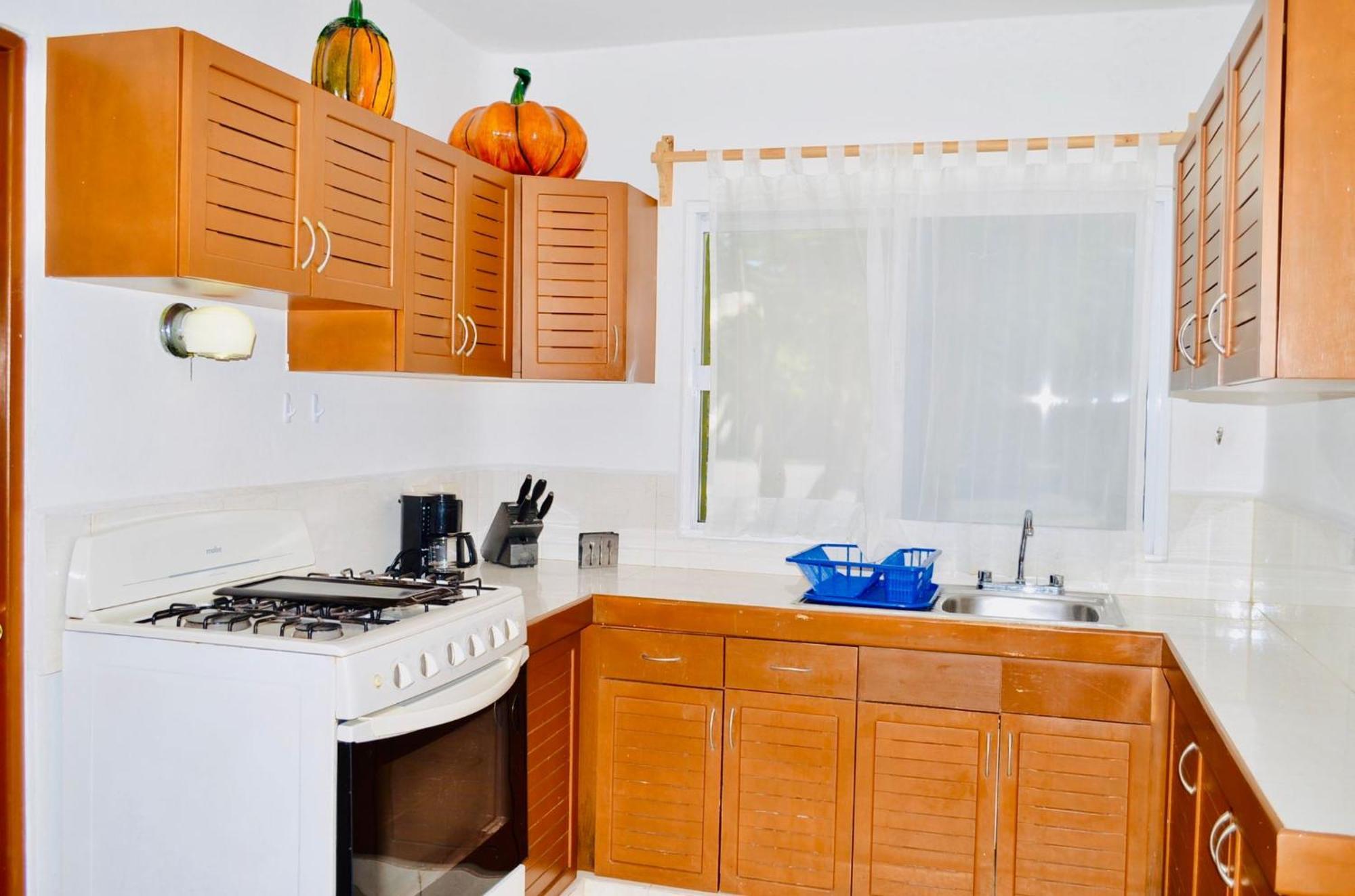 Gorgeous 11 People Superior Villa With Pool Playacar Phase 2