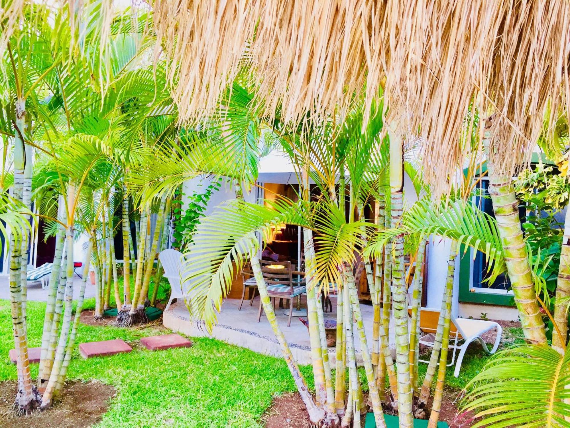 Deluxe Family E8 Dolce Caribe * Playa del Carmen