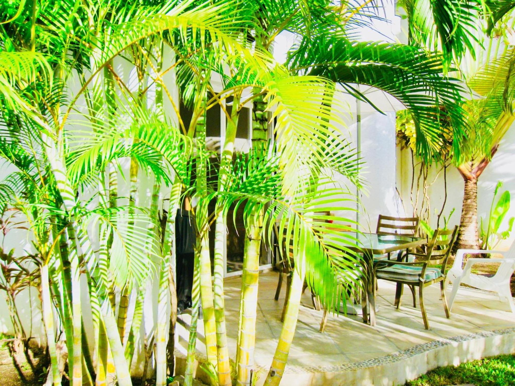 Deluxe Family E8 Dolce Caribe