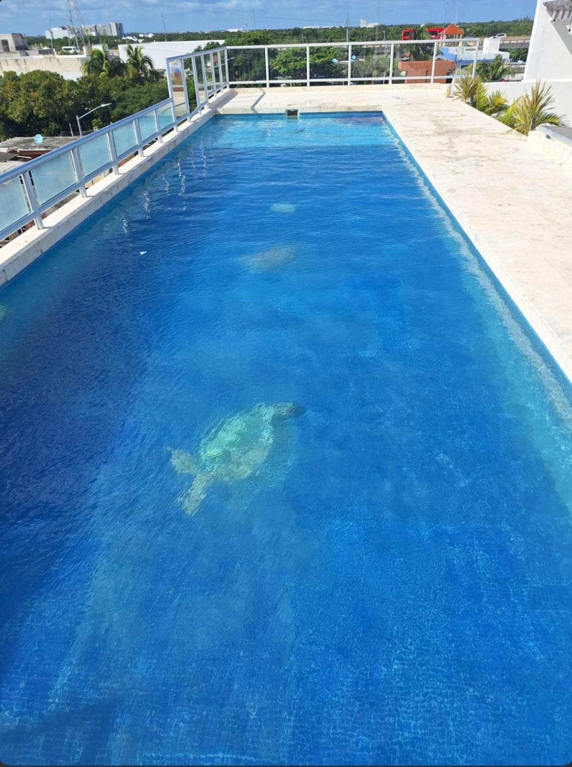 Long Apartment Playa del Carmen