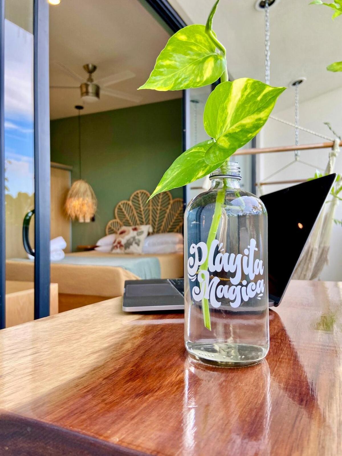 Estrena Estudio Con Coworking,gym,alberca,todo Cerca Apartment Playa del Carmen