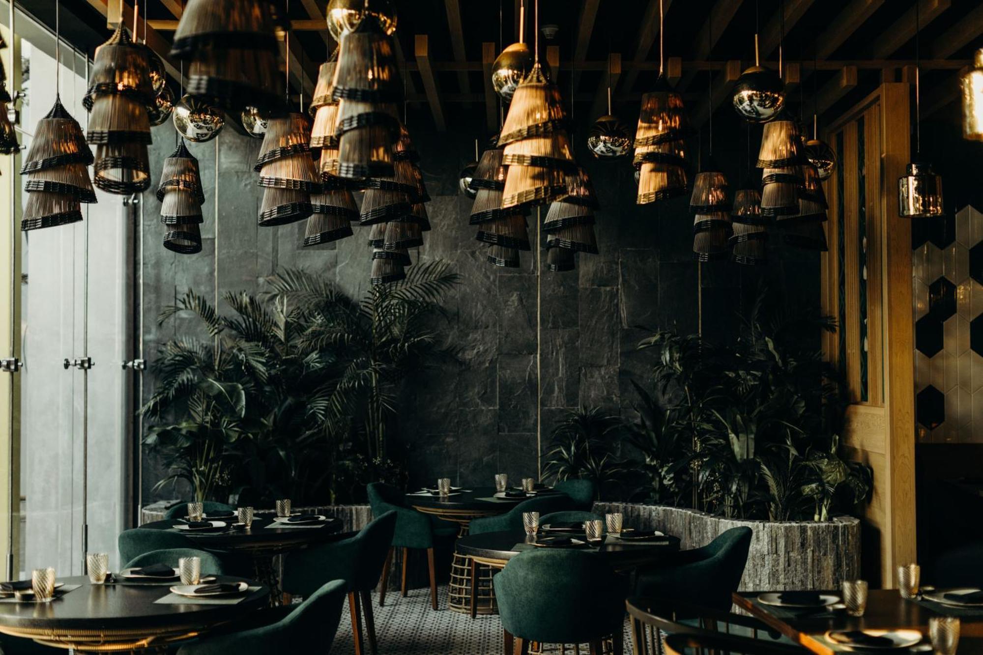 Palmaia The House Of Aia Wellness Playa del Carmen