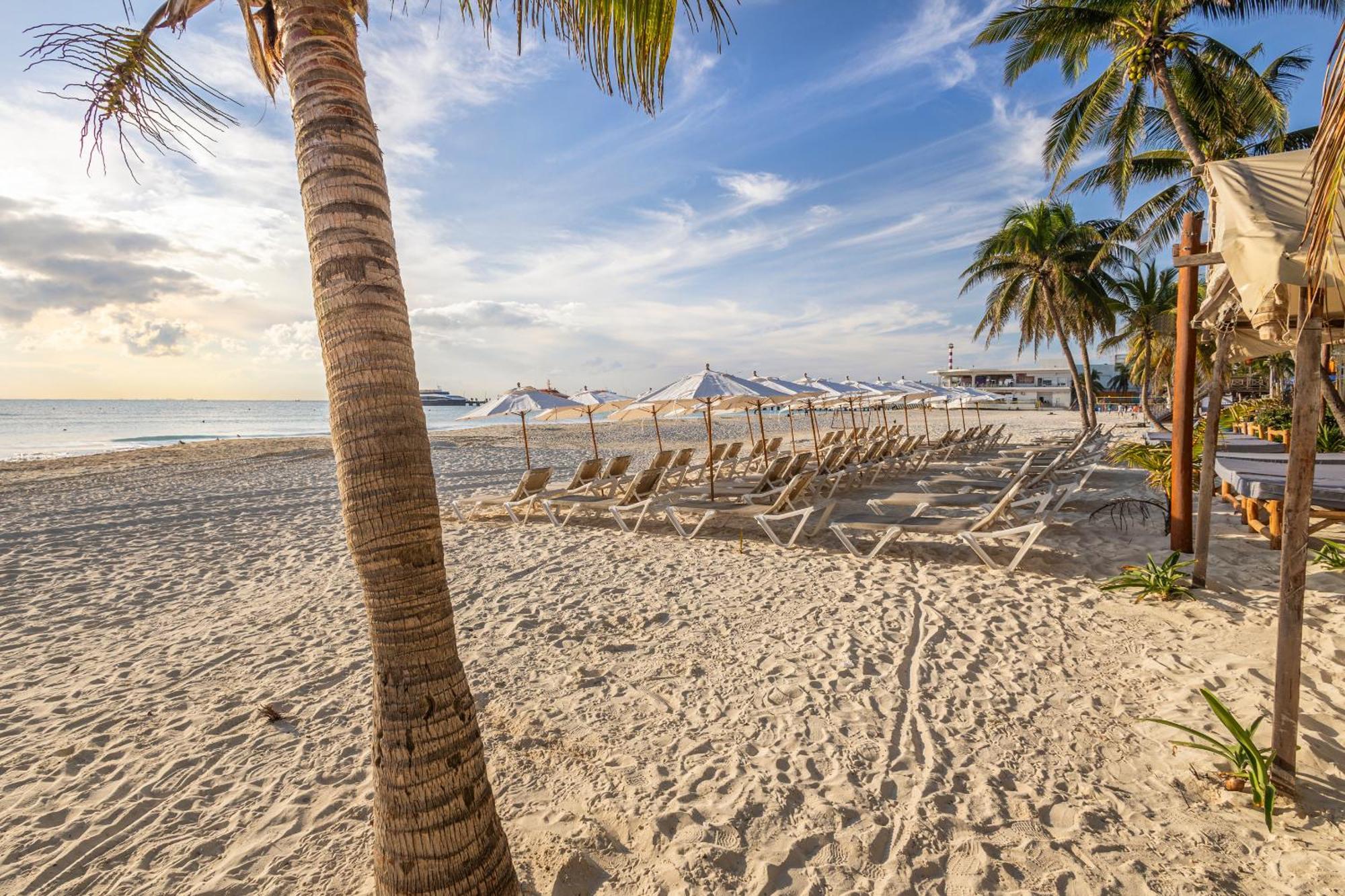 Areia - Front Lodge *