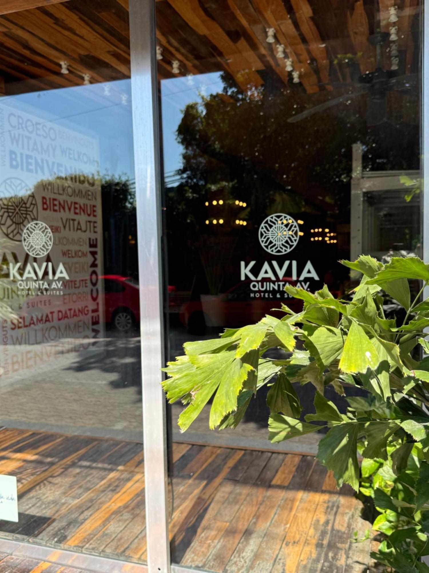 Hotel Kavia 5th Avenida (adults Only) Playa del Carmen