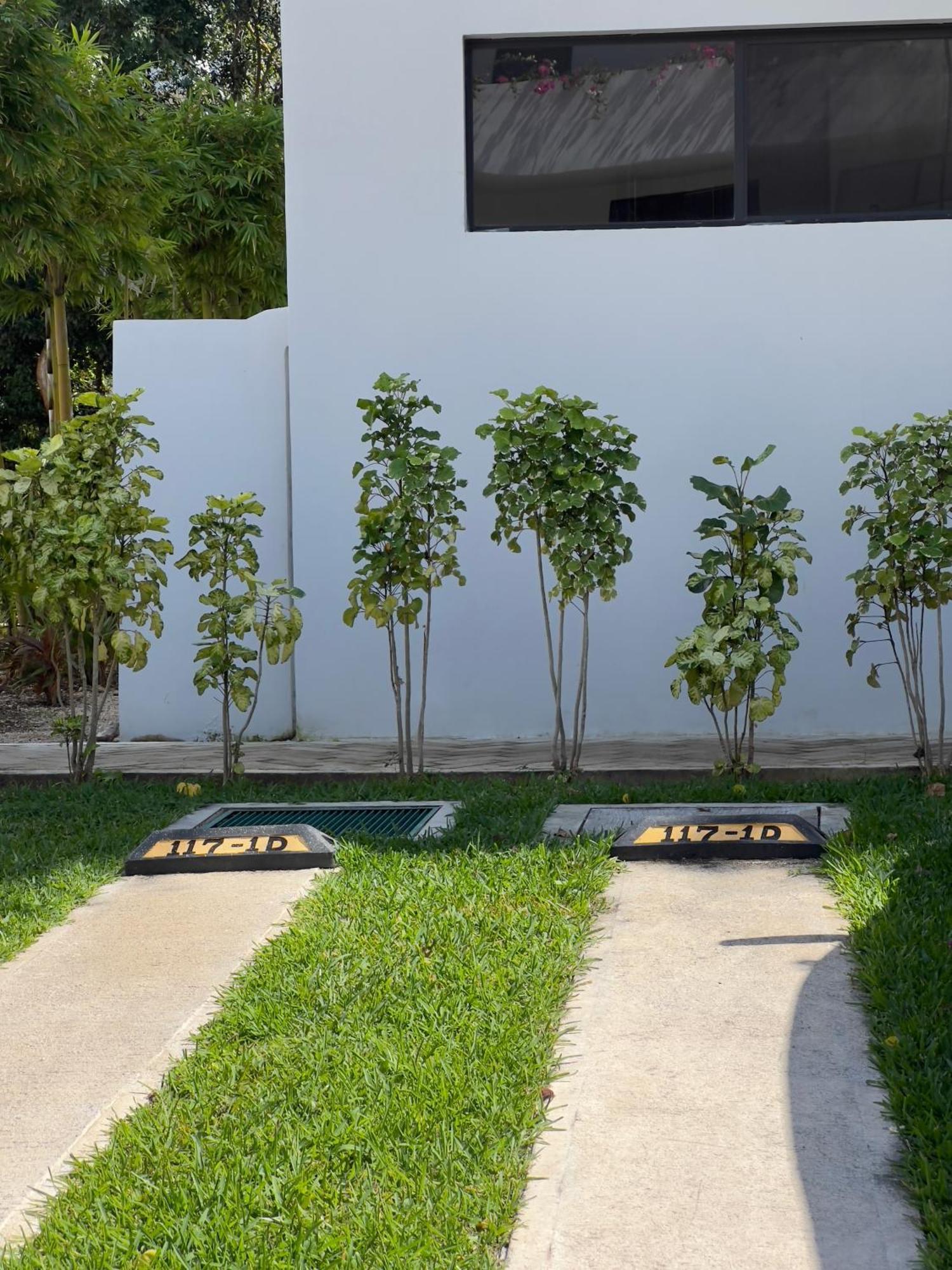 Perla House - 3 Bedrooms Apartamento *