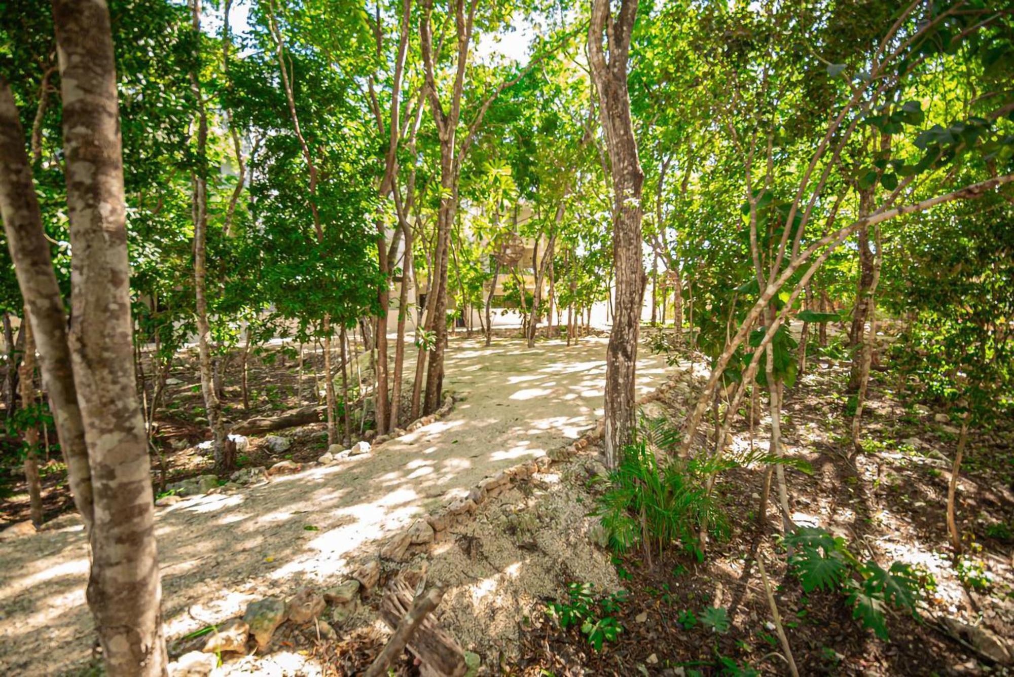Apartamento Perla House - 3 Bedrooms Playa del Carmen