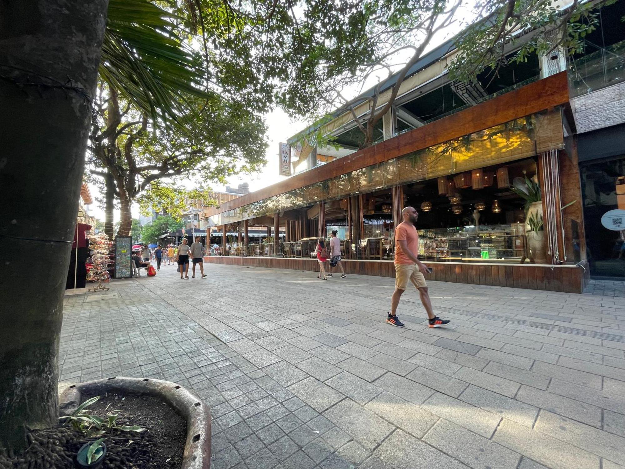 Treehouse Loft In Prime Location Apartment Playa del Carmen