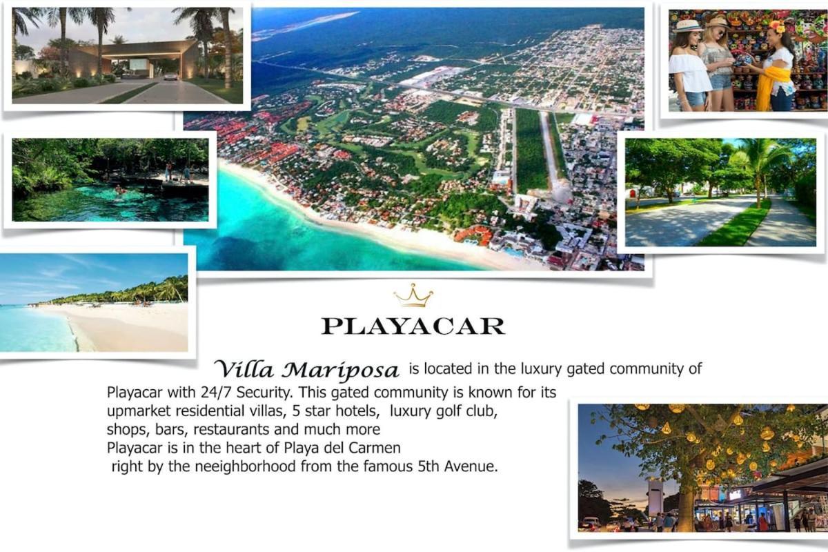 Apartment Mariposa With Private Pool Jacuzzi Und Incl Services Playa del Carmen