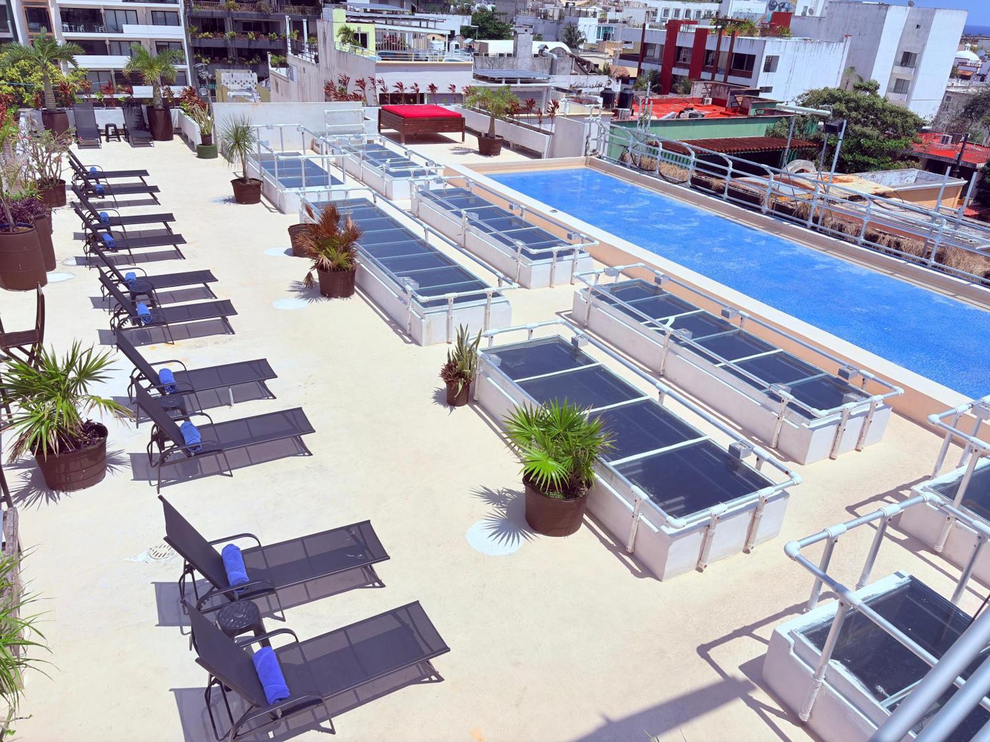 Hotel Kavia 5th Avenida (adults Only)