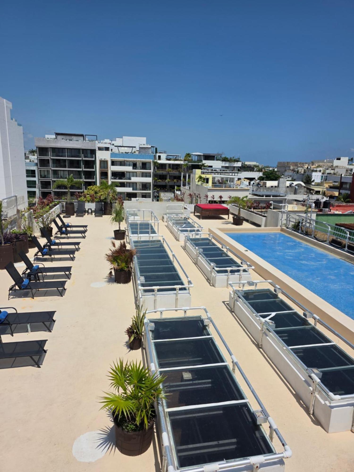 Kavia 5th Avenida (adults Only) Hotel 4*