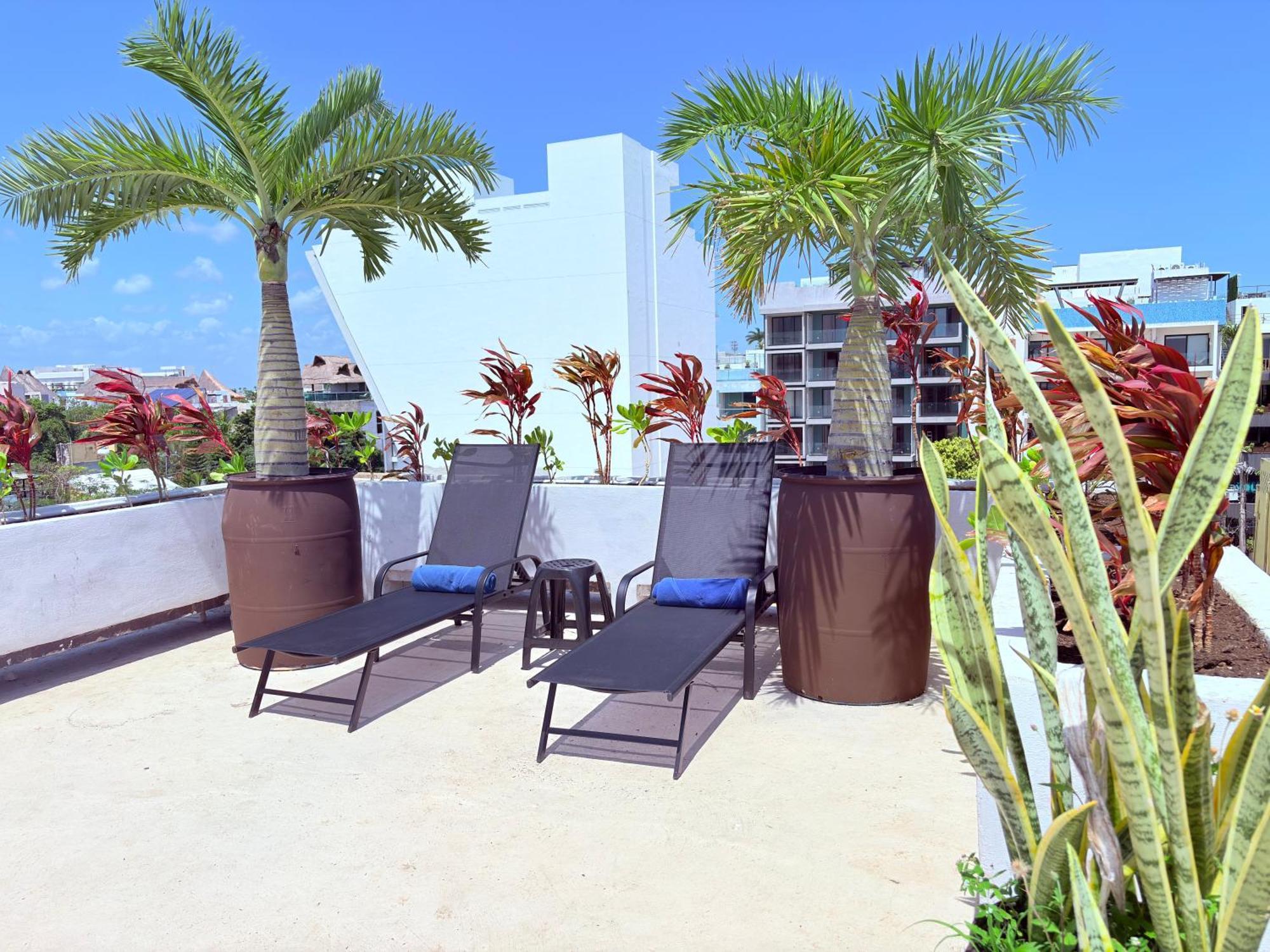 Hotel Kavia 5th Avenida (adults Only) 4*
