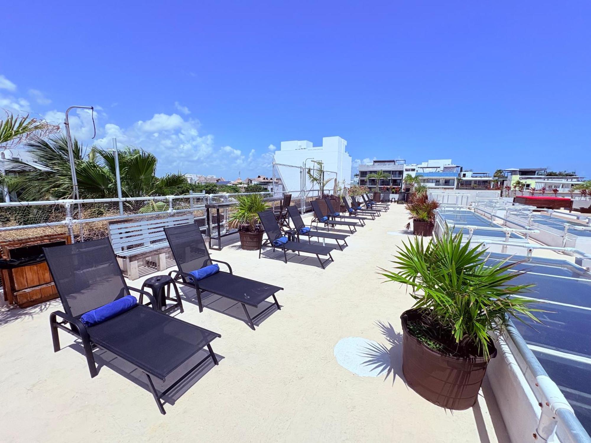 Kavia 5th Avenida (adults Only) 4*