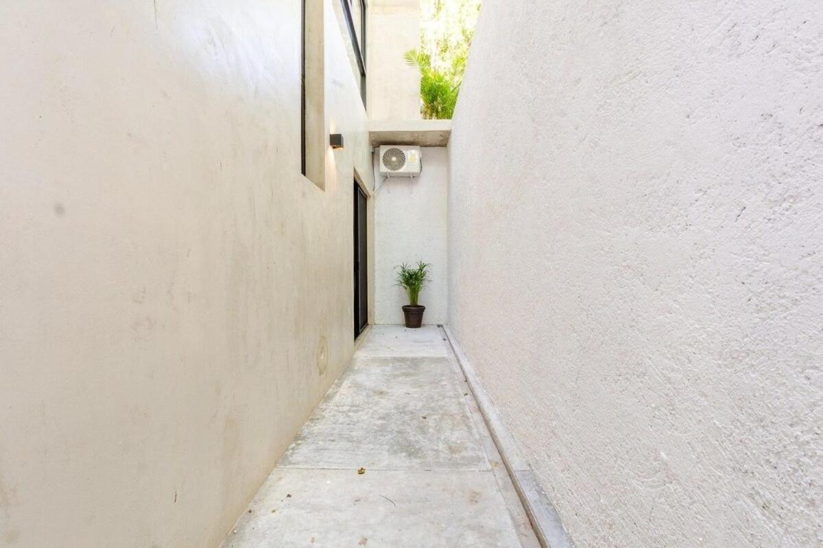 Magnificent One Block From Playacar *