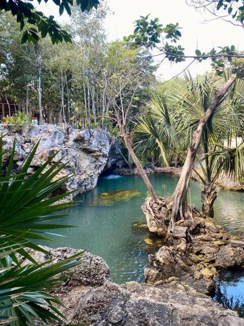 Nhà nghỉ Cozy Getaway Shared Pool & Cenote Access Playa del Carmen
