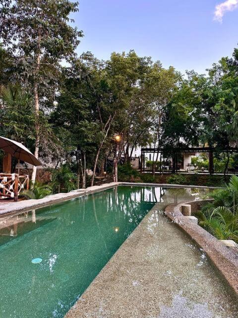 Cozy Getaway Shared Pool & Cenote Access Playa del Carmen