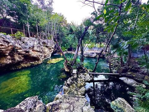 Cozy Getaway Shared Pool & Cenote Access Nhà nghỉ *