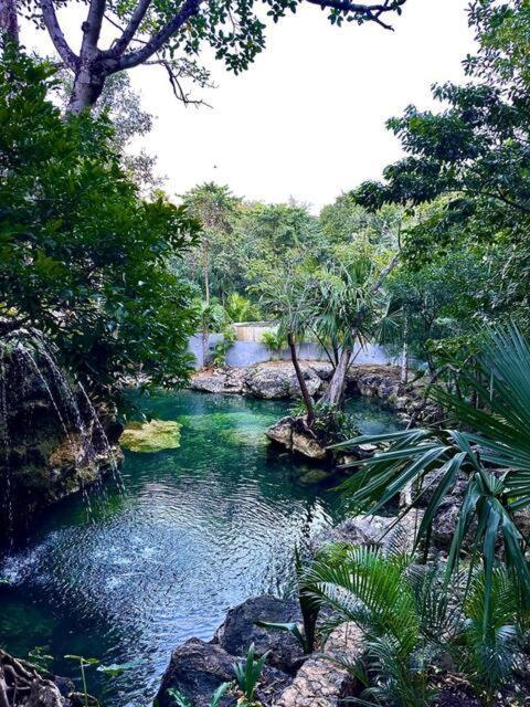 Cozy Getaway Shared Pool & Cenote Access Nhà nghỉ Playa del Carmen