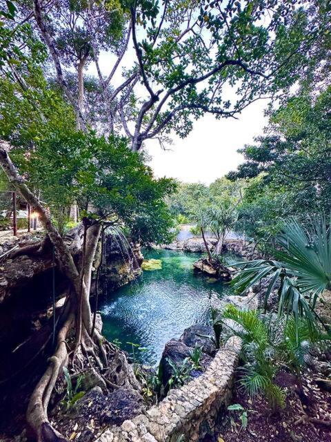 Cozy Getaway Shared Pool & Cenote Access