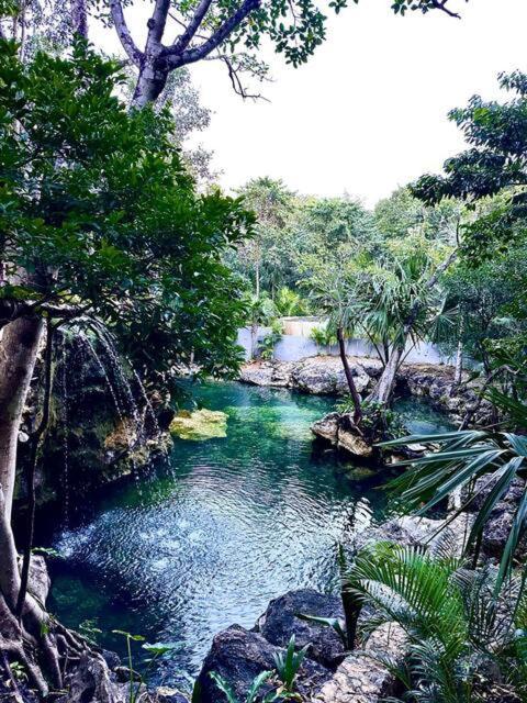 Cozy Getaway Shared Pool & Cenote Access Nhà nghỉ Playa del Carmen