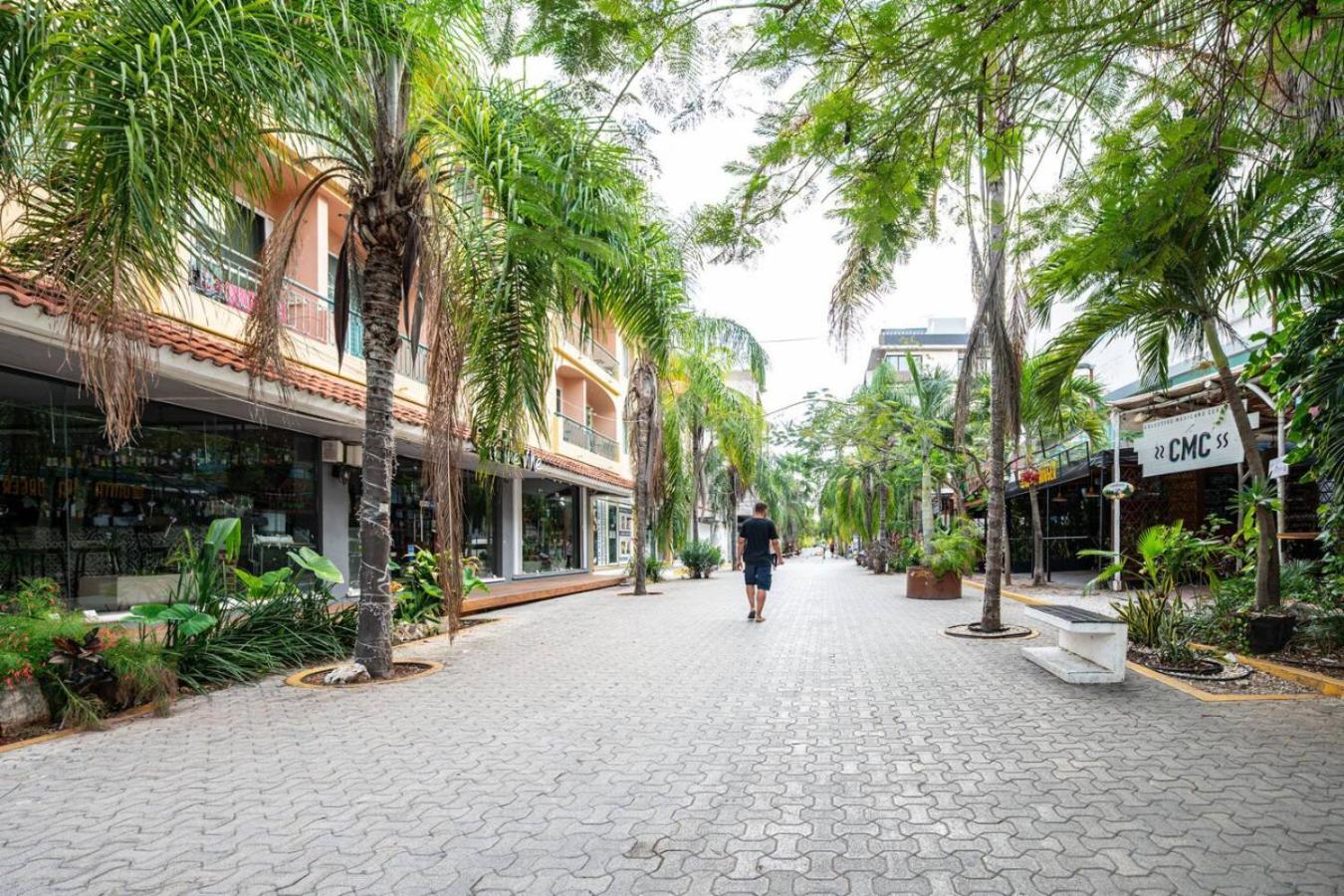 1 Bedroom W Rooftop Pool Walk To 5th Ave Сasa de vacaciones Playa del Carmen