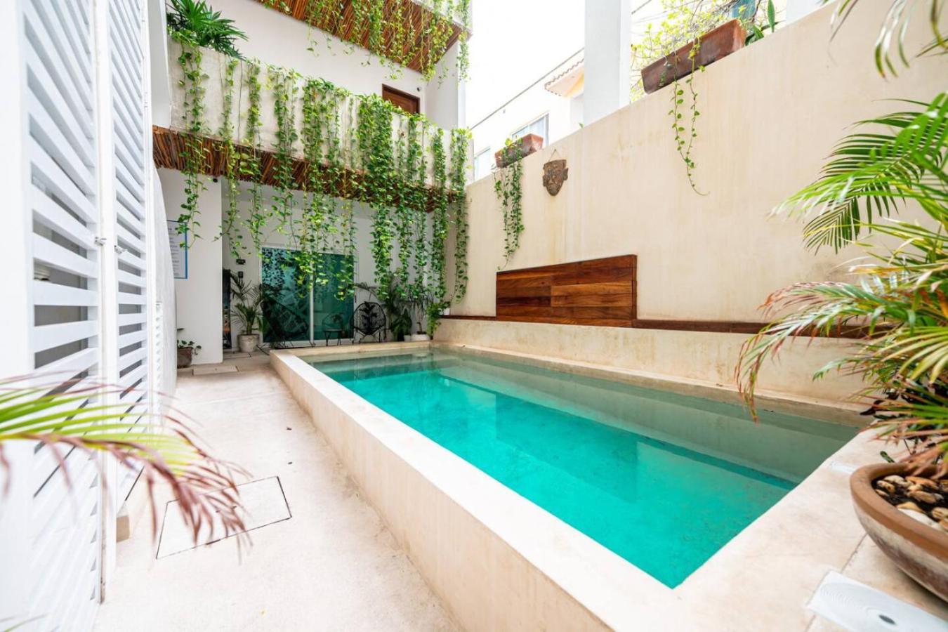 1 Bedroom W Rooftop Pool Walk To 5th Ave Сasa de vacaciones Playa del Carmen