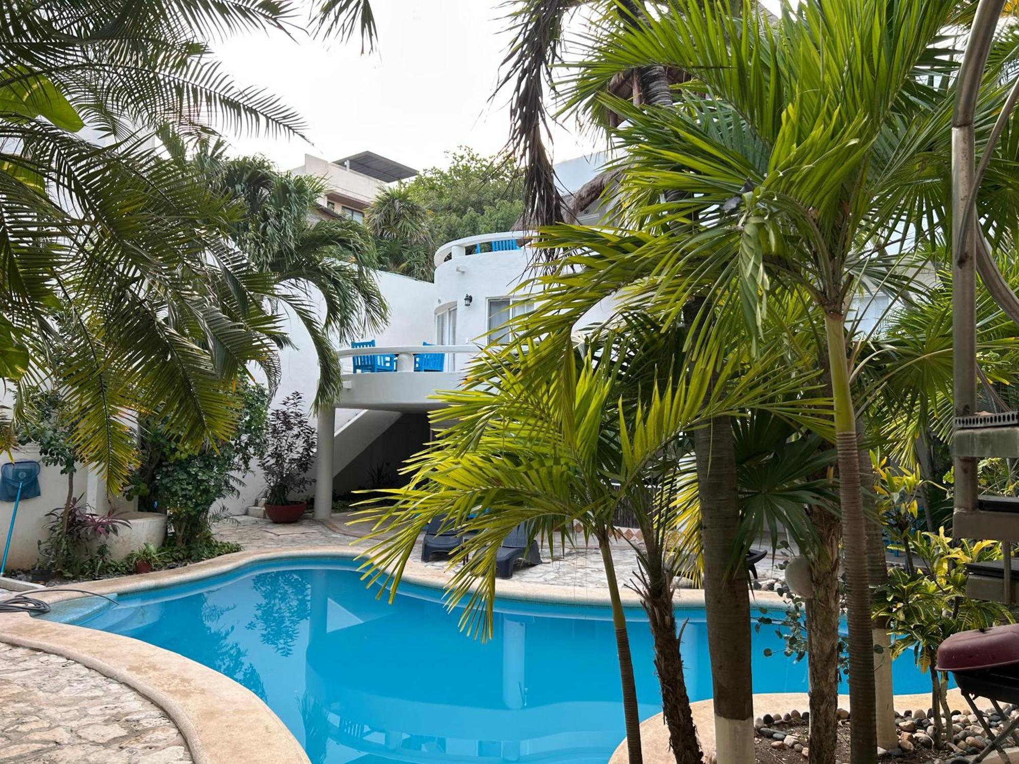 Căn hộ Blue Angel 12 A Pasos De La 5av Y La Playa