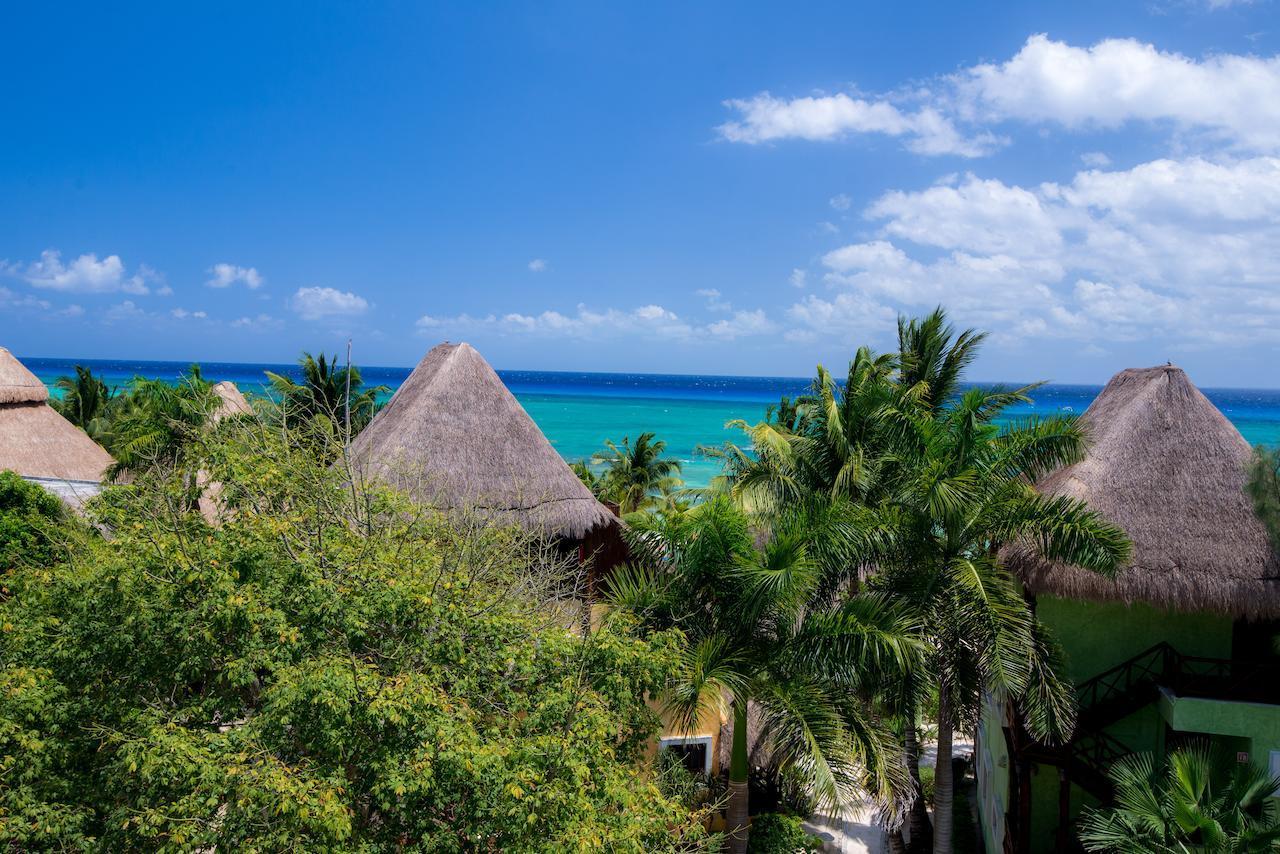 Secret Paradise Apartamento
